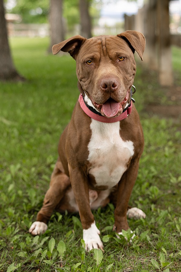 TCC-Z-PET-0719-01_1095440994.jpg