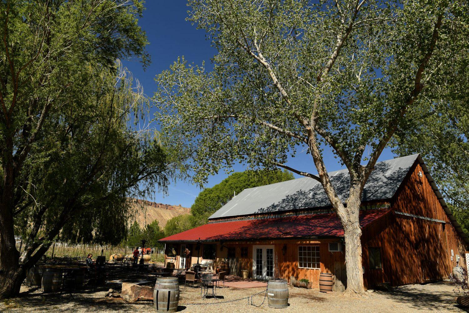 Your_ultimate_Palisade_wine_tour_How_to_bike_to_7_wineries_in_one_day_1_1092010289.jpg
