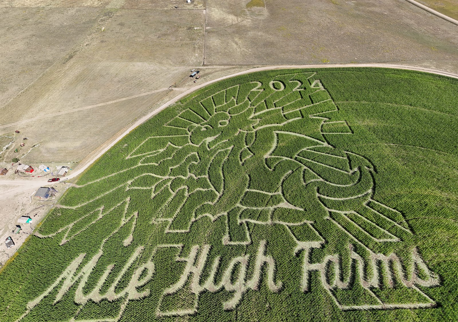 TDP-Z-FE10MILEHIGH_1085004364.jpg