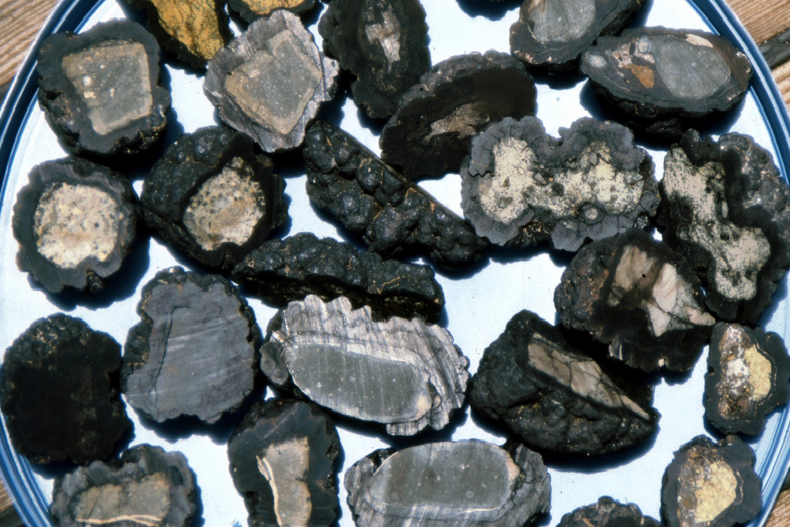 Deep-Sea_Mining__543_--bc6a1_1106921077.jpg