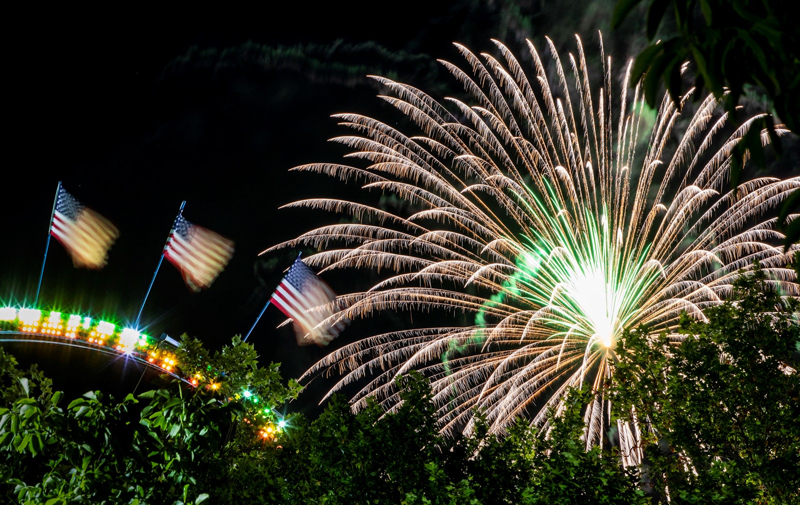 SJM-L-FIREWORKS-1_1064343706.jpg