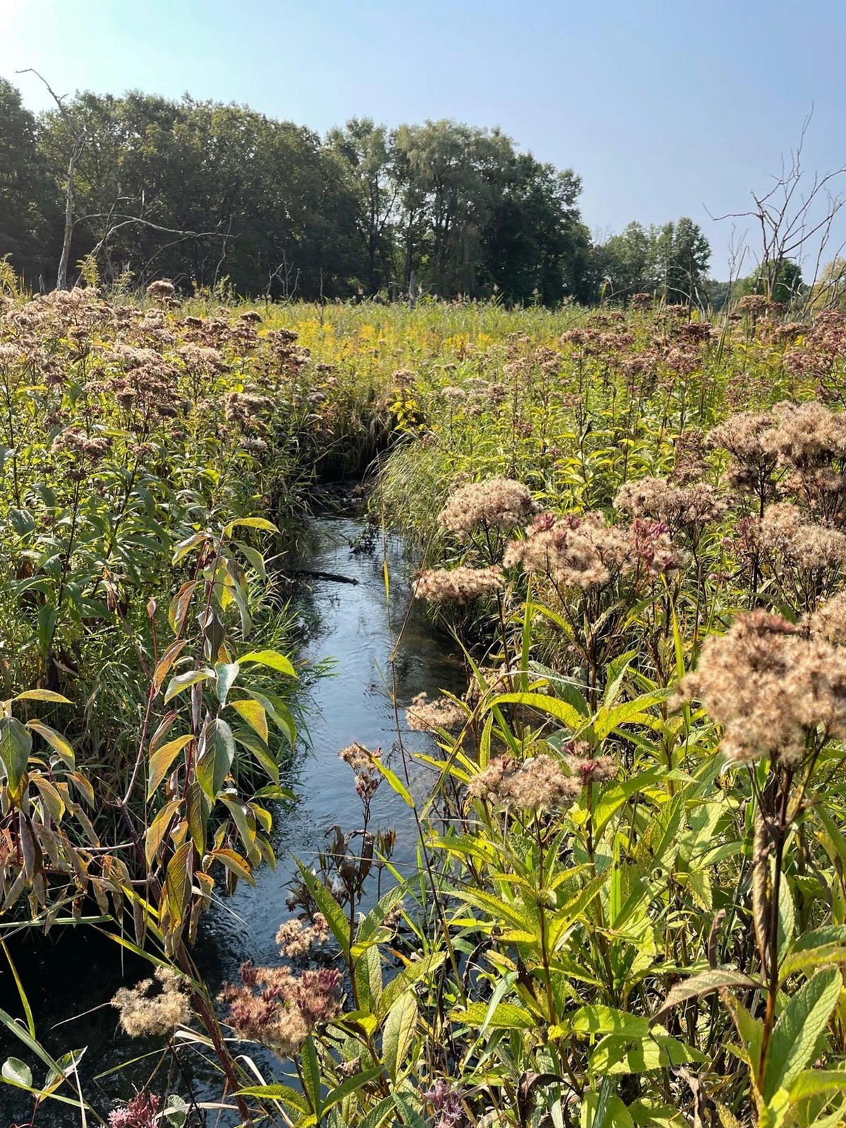 Duck-Creek_1094973272.jpe