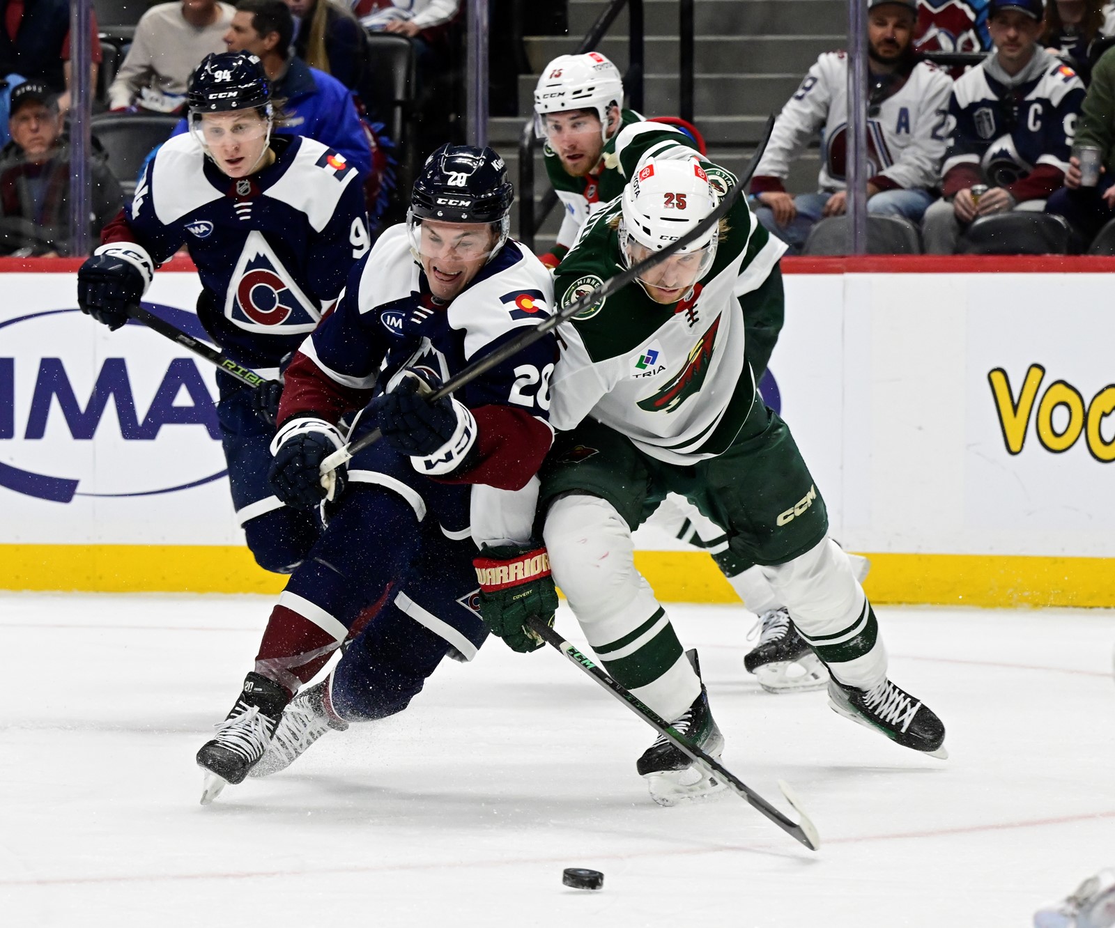 TDP-L-AVALANCHE-WILD_DSC6452_1090326511.jpg