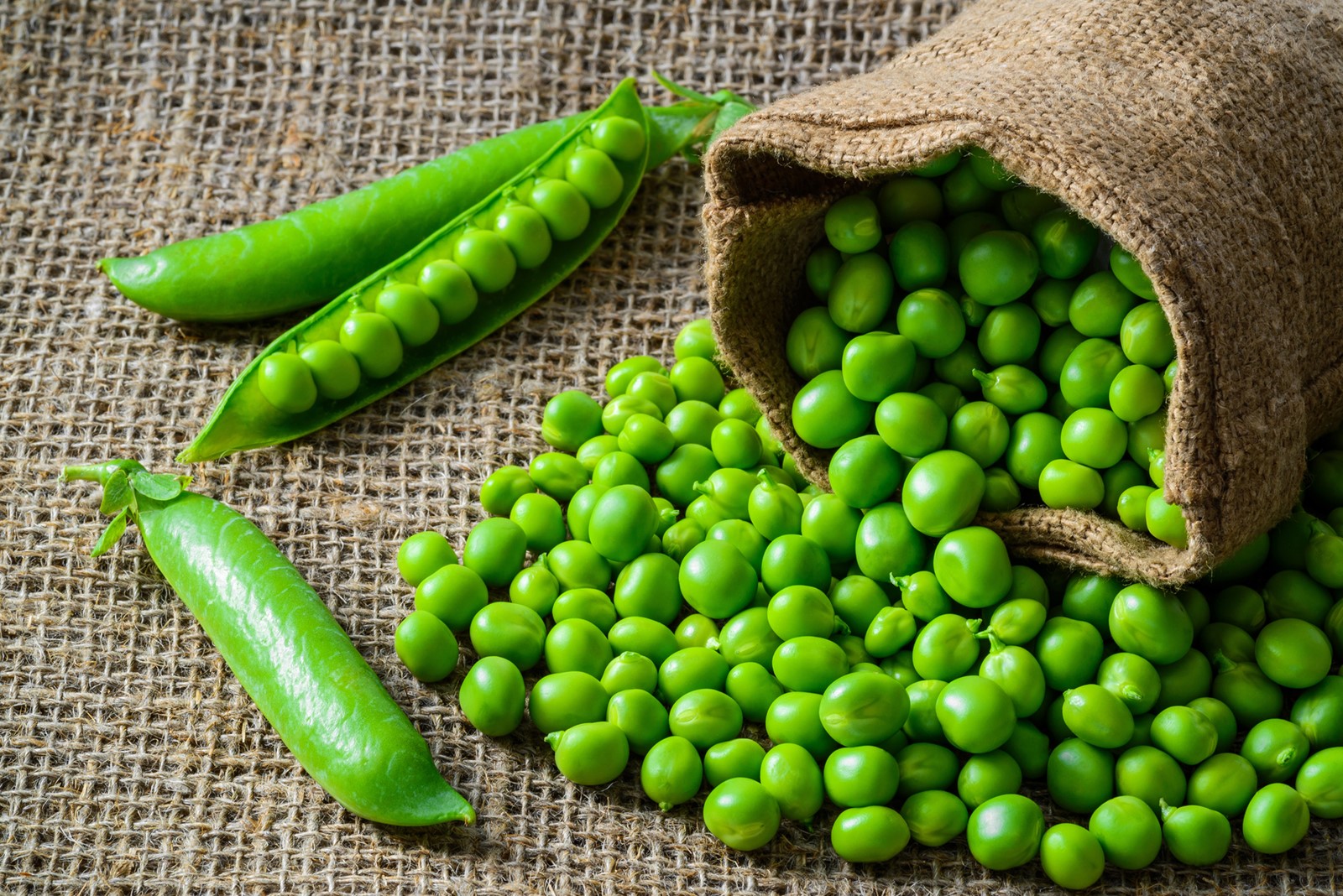 FOOD-PEA-SALAD-DMT_1095356280.jpg