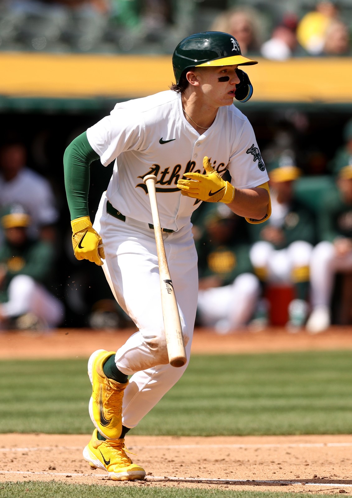 0408_NWS_BNG-L-OAKAS-0409 (2)_1077194705.jpg