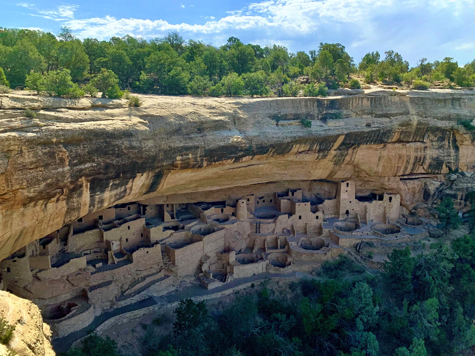 TDP-Z-MesaVerde1_1092030564.jpg