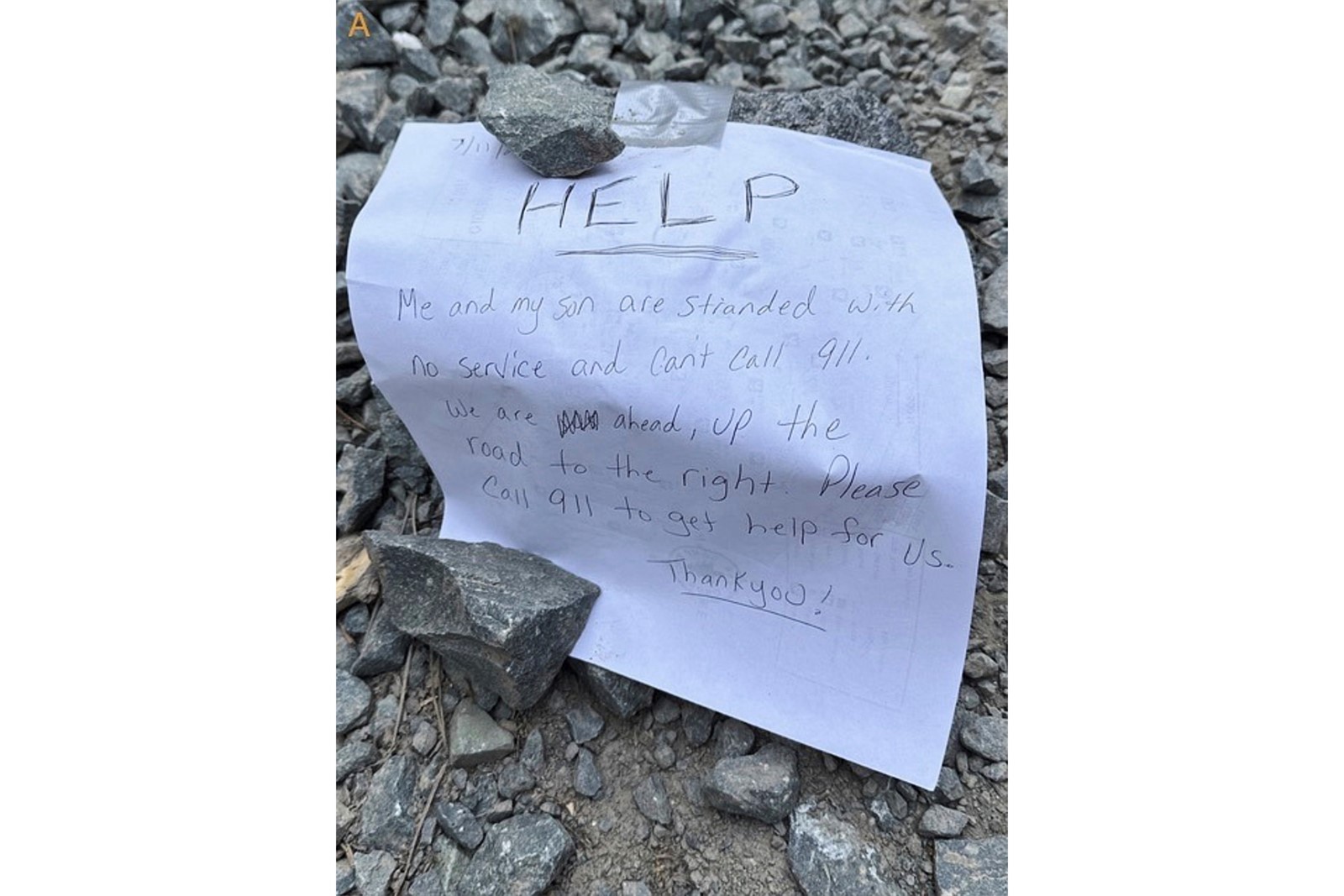 Missing_Family_Found_24413--34fb9_1095440124.jpg