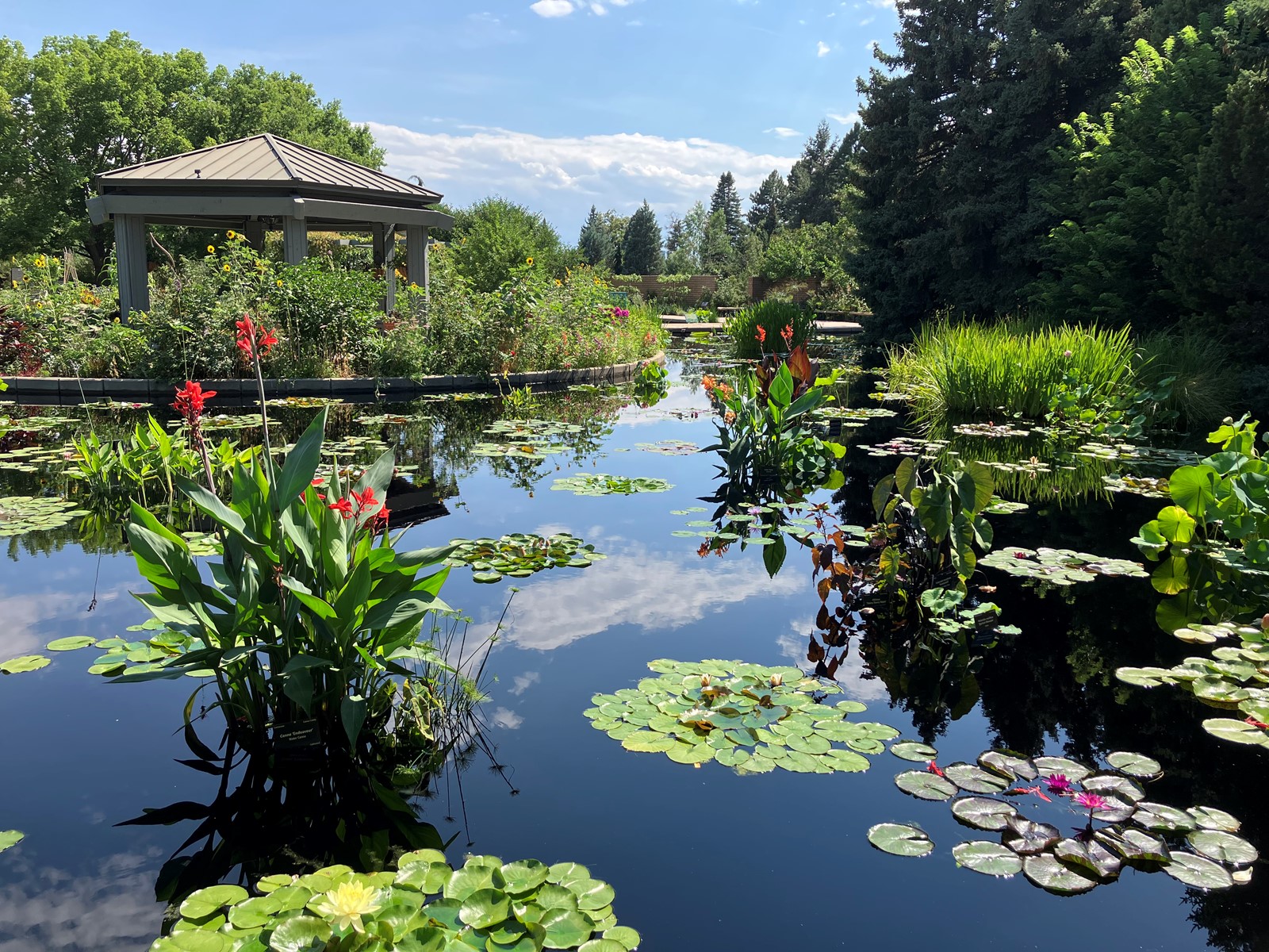 TDP-Z-Denver-Botanic-Gardens-water-gardens-02_1076805978.jpe
