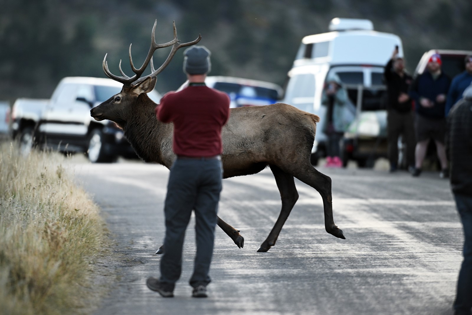 TDP-L-ELK-044_1109097671.jpg