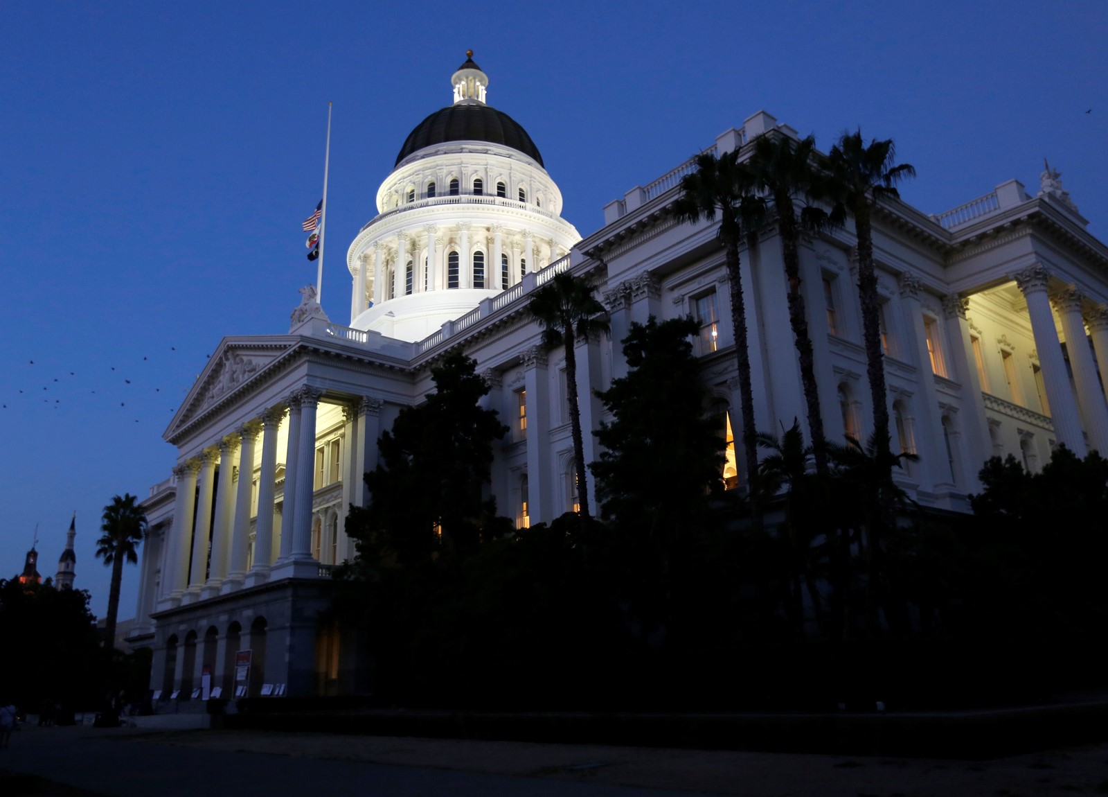 SJM-L-NEWLAWS-0701-1_1094837366.jpg