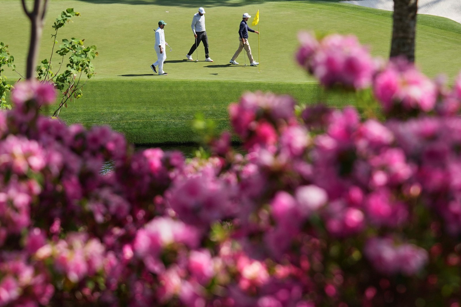 Masters_Golf_95068--ff47f_1091786307.jpg