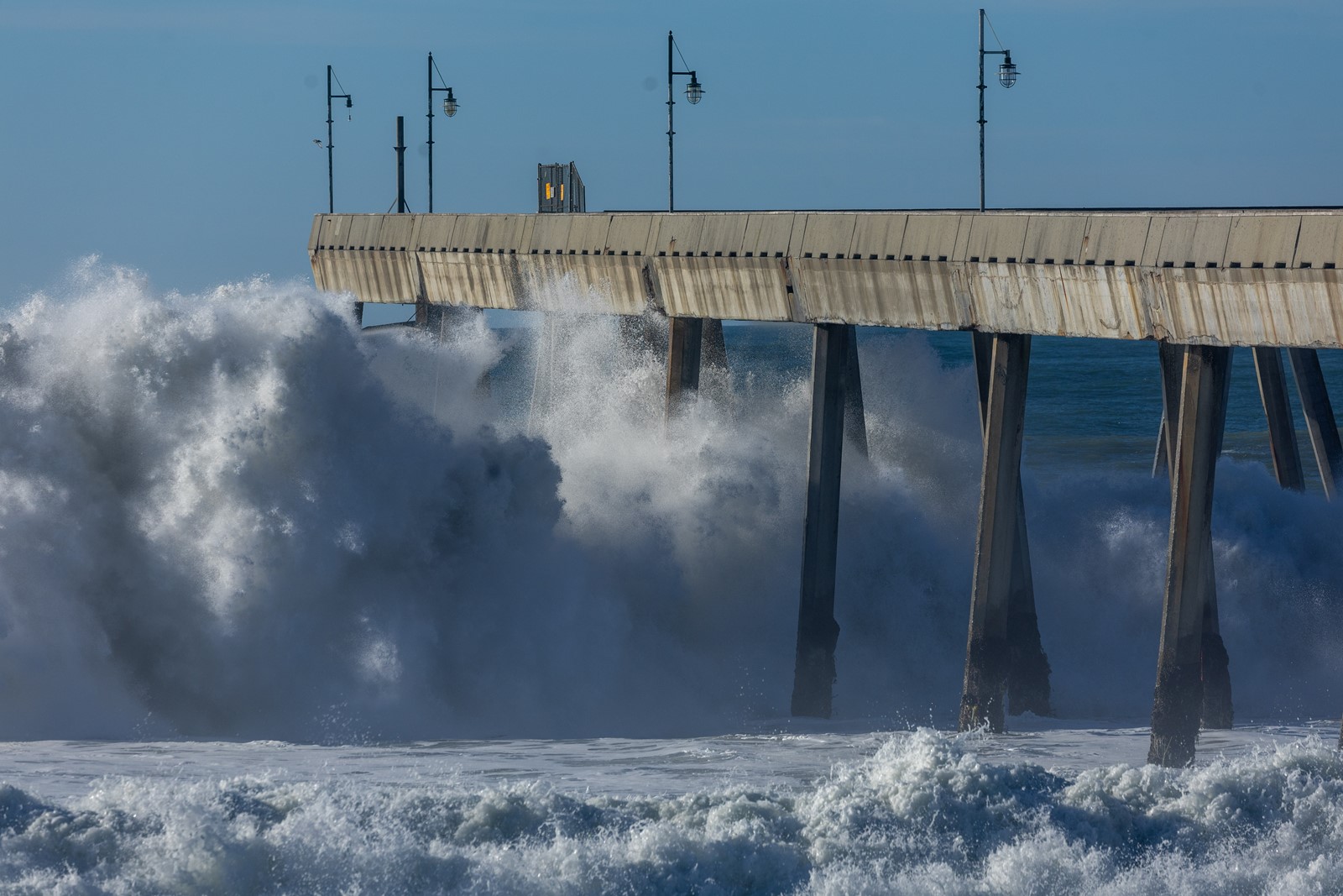 SJM-L-PACIFICA-0523-2_1093467212.jpg