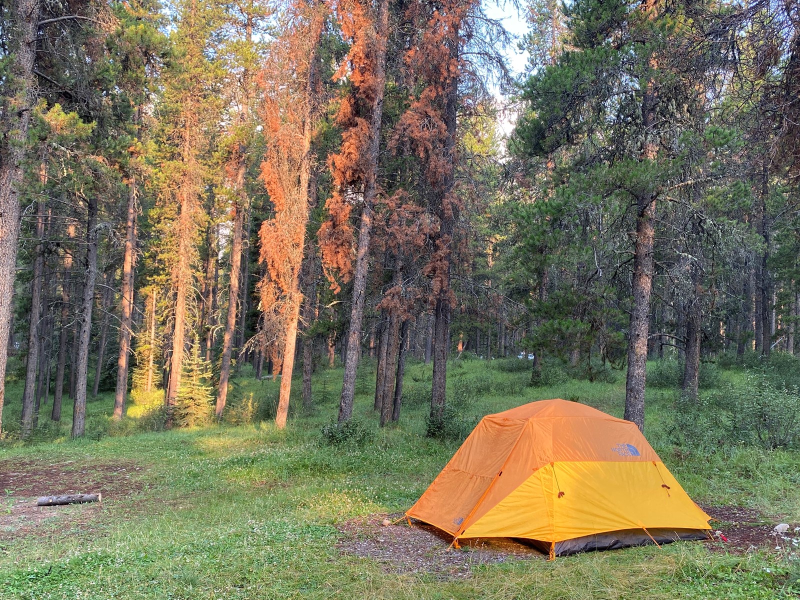 TDP-L-Two-Jack-Campground-Banff_1066238460.jpg