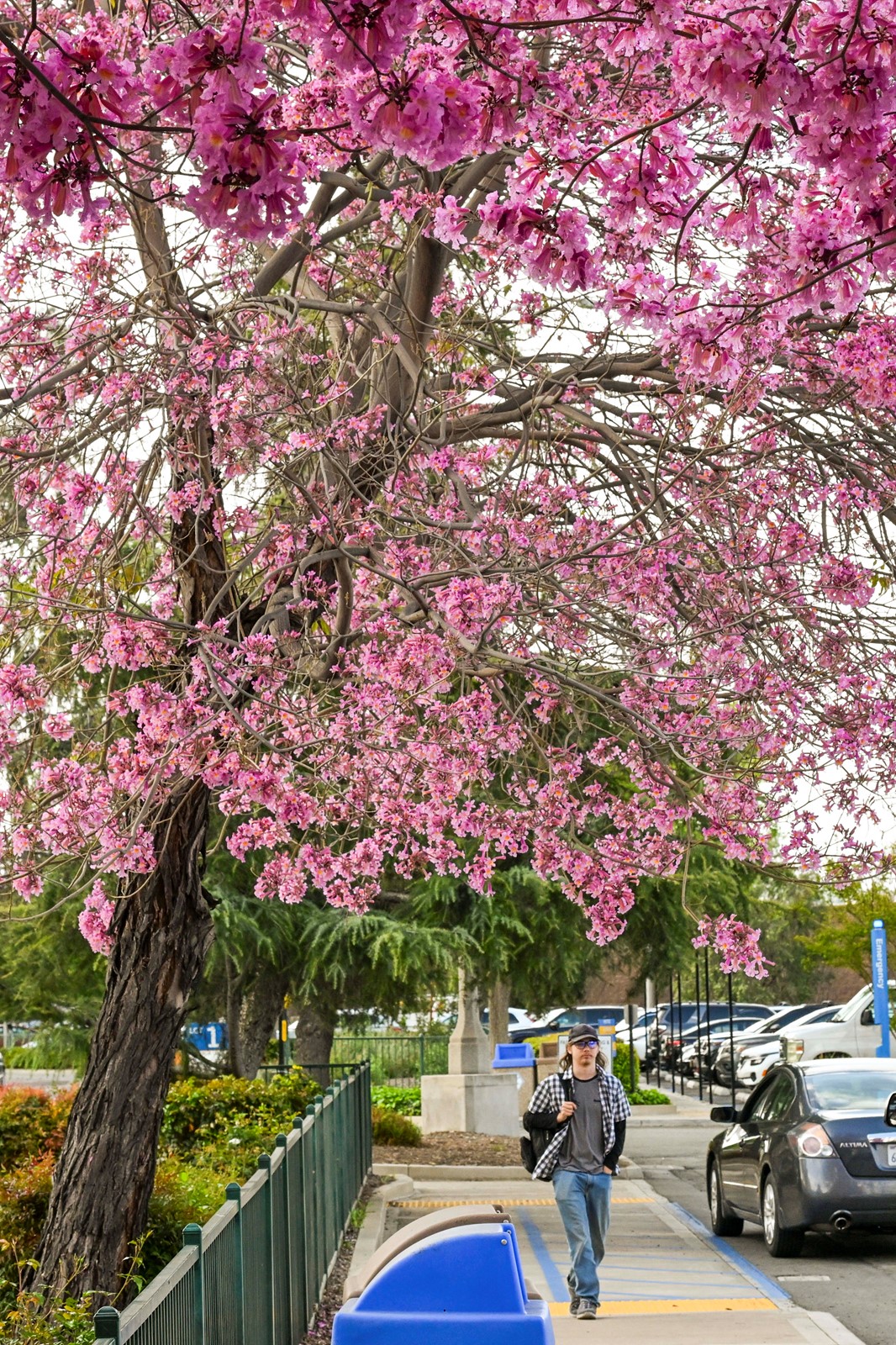 0404_NWS_RPE-L-PINK-0404-01_1091598229.jpg