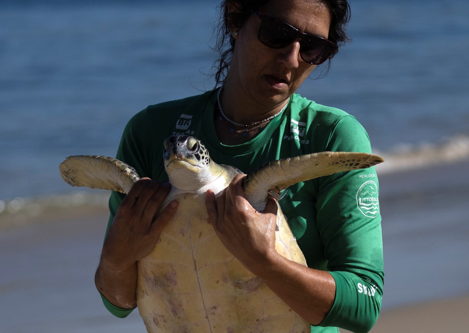 UN_Migratory_Species_30136--d102c_1074951916.jpg
