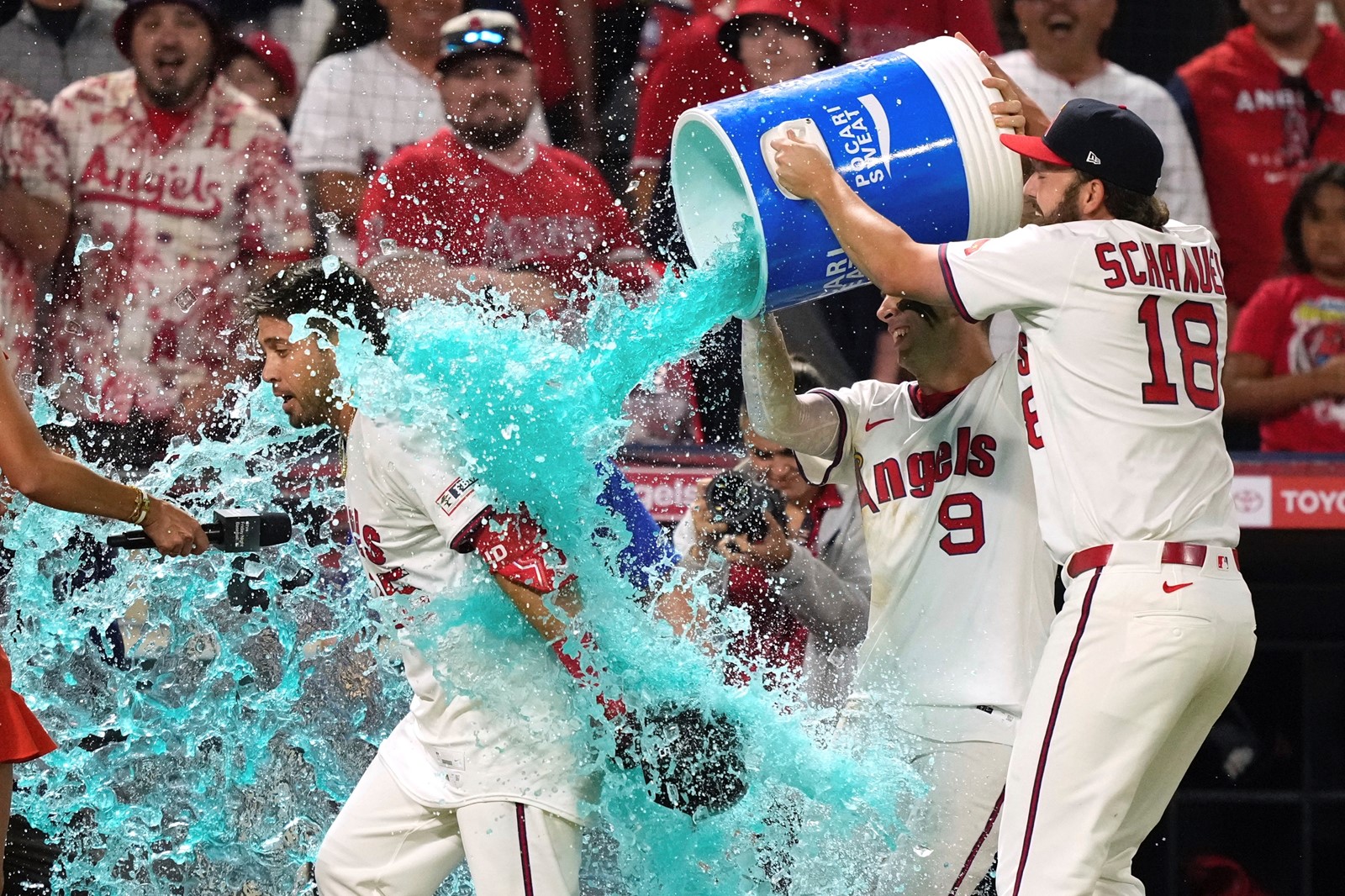 Diamondbacks_Angels_Baseball_36425--b3a82_1095251187.jpg
