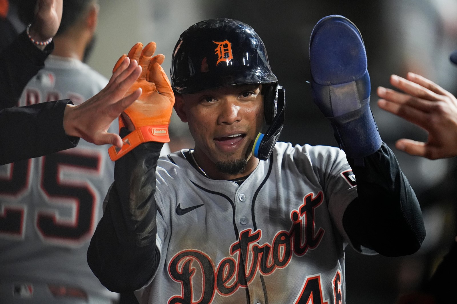 Tigers_White_Sox_Baseball_17204_1095175215.jpg