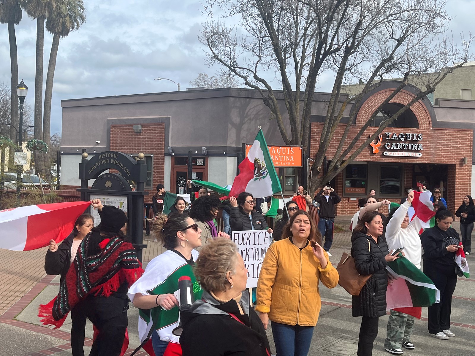 YOLOPROTEST-02#2_1089383866.jpg