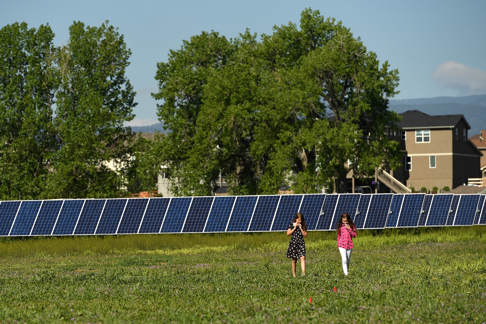 TDP-L-Solar-Garden-053019-FJA-FJA_3105a1_1095188987.jpg