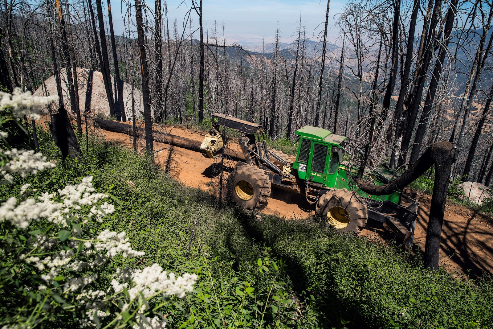 0712_NWS_tdp-z-SCISEQUOIASWILDFIRES-4_1081111973.jpg