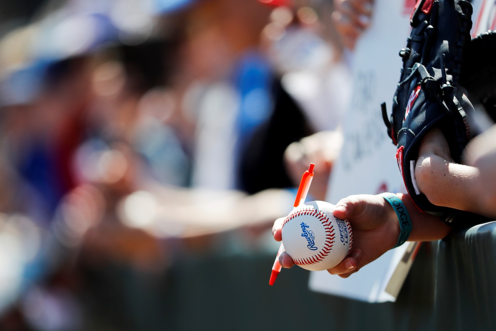 0210_NWS_CT-ct-cubs-spring-training-spt-Ross-16_177930781_1074871811.jpg