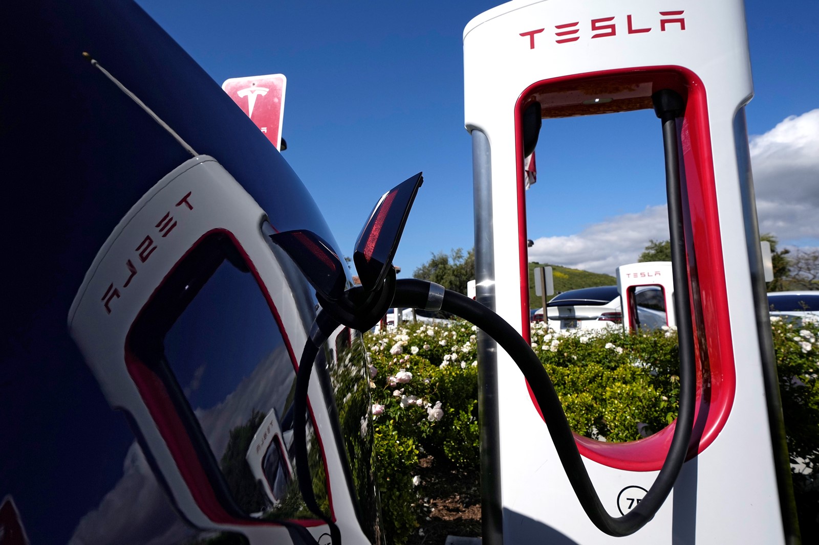 Ford_Tesla_53033--043d3_1063129711.jpg