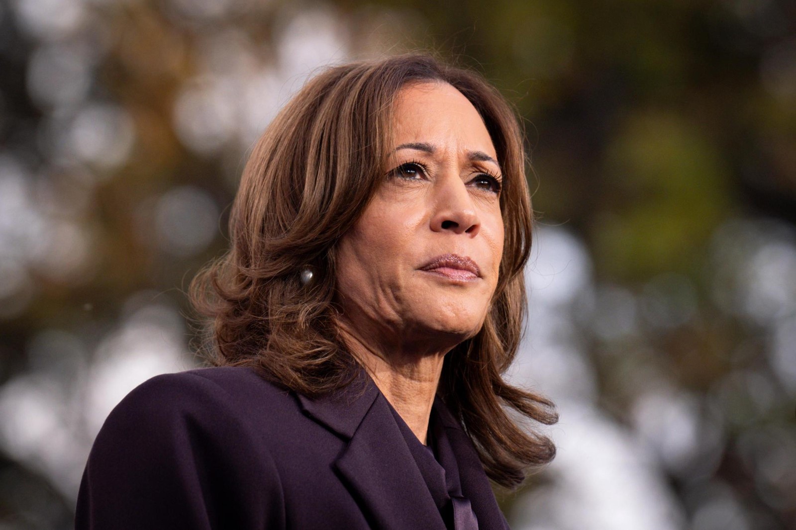Harris_Electoral_College_74599-1-1_1088842565.jpg