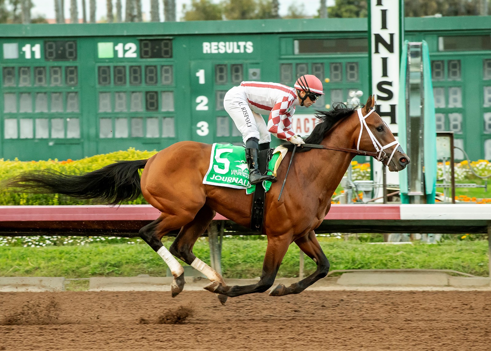 Los_Alamitos_Horse_Racing_18676--f2b63_1087628313.jpg