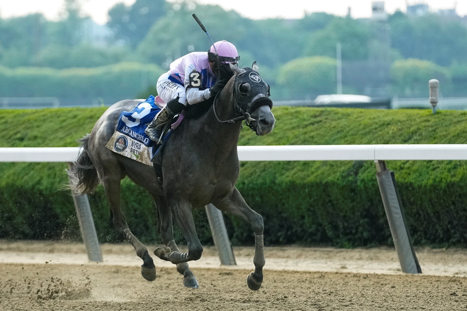 Belmont_Stakes_Horse_Racing_97739--ae036_1063712127.jpg