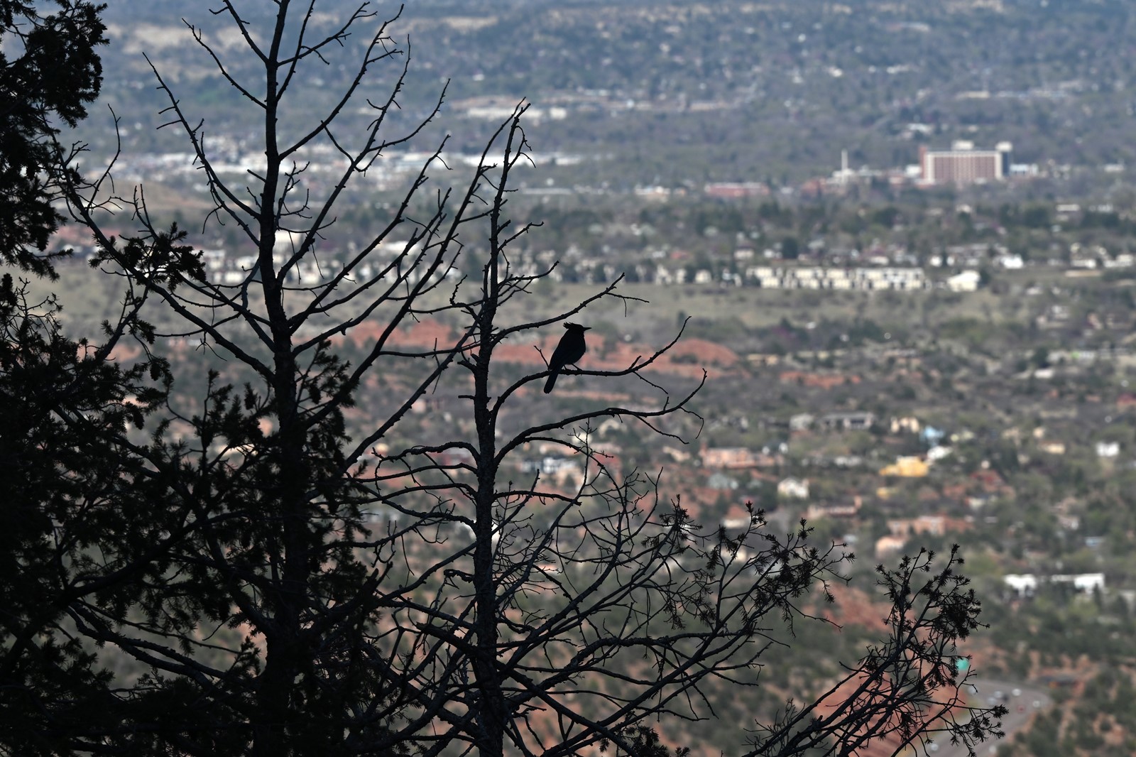 TDP-L-INCLINE_015_1077916778.jpg