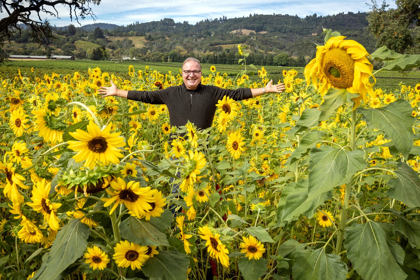 TPD-L-SUNFLOWERS-081826_004#1_1110150312.jpg