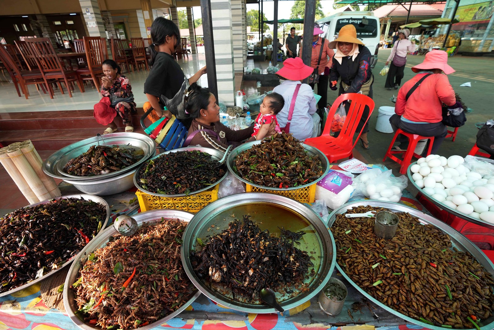 Cambodia_Daily_Life_86236--5993b_1089539226.jpg