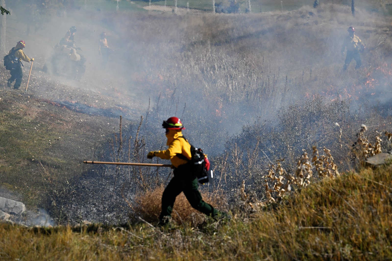 DCC-L-LFDBURN_2MJ4194_1085559971.jpg