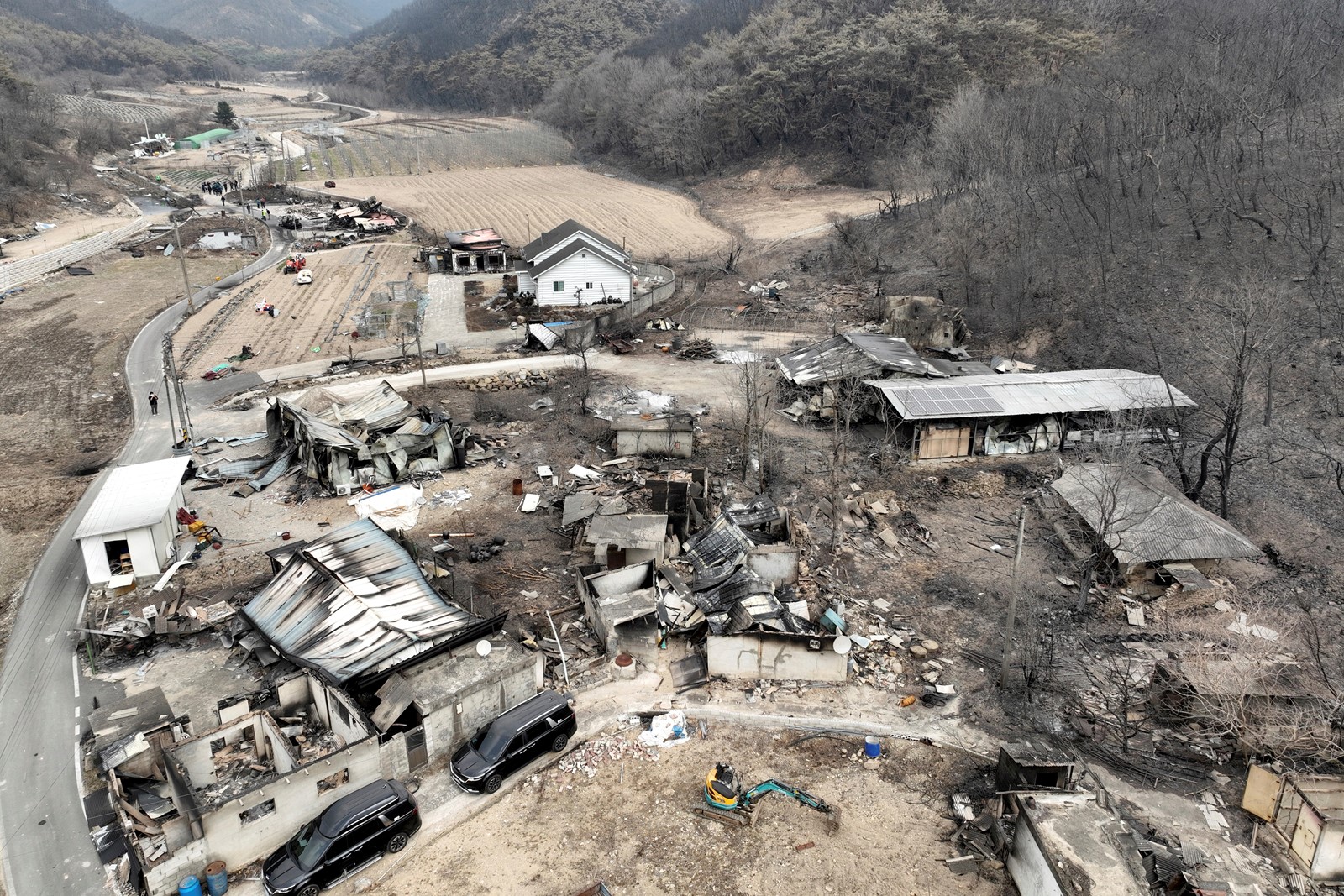 South_Korea_Wildfires_91298--d4a52_1091296331.jpg