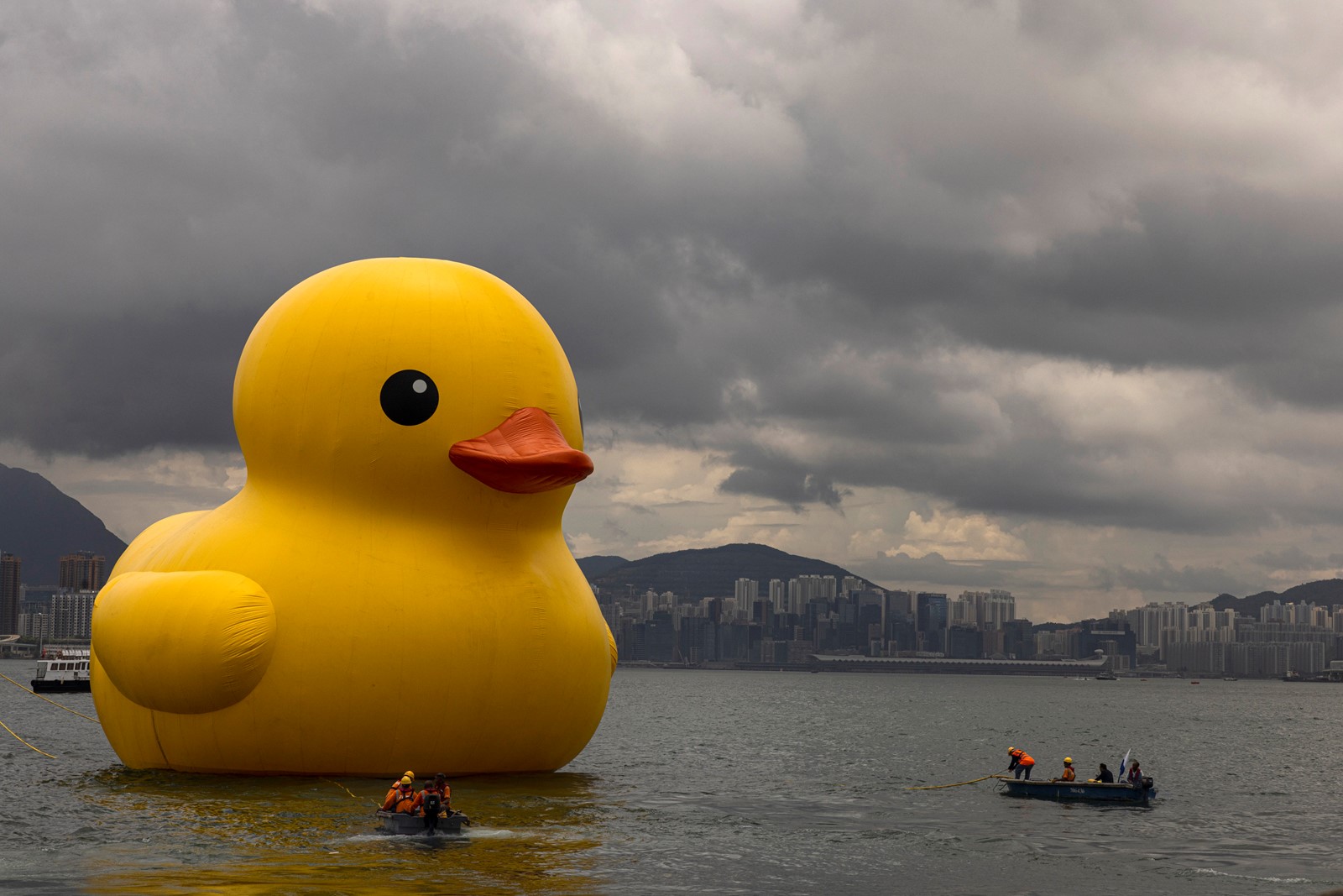 APTOPIX_Hong_Kong_Giant_Ducks_37115--8fb61#1_1063669818.jpg