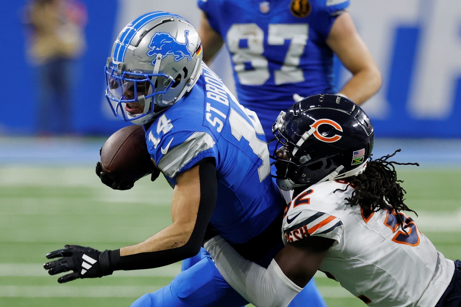 TMD-L-LionsBears-01_1087845462.jpg