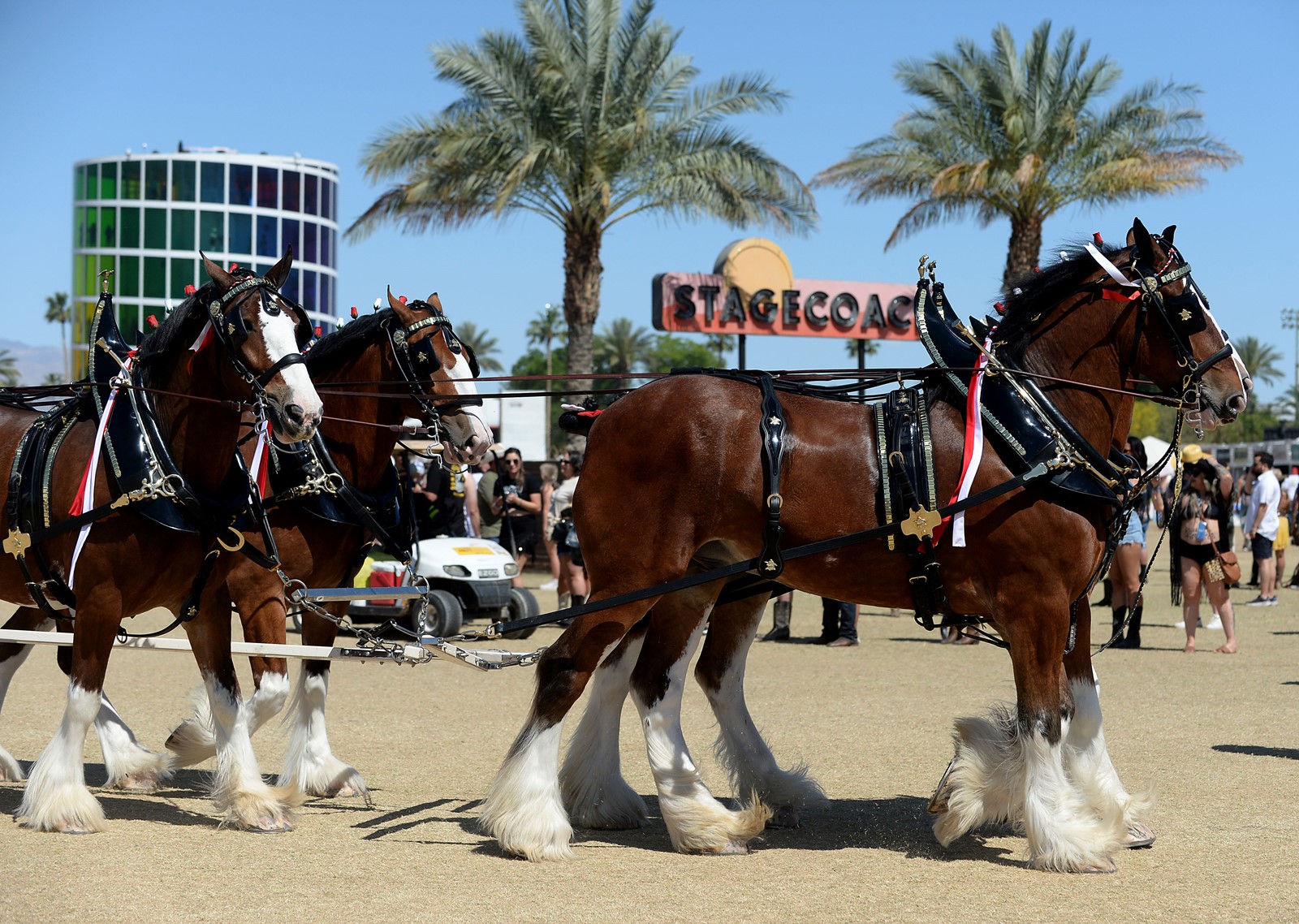 RPE-L-STAGECOACH-PREVIEW-0420-01_1092264221.jpg