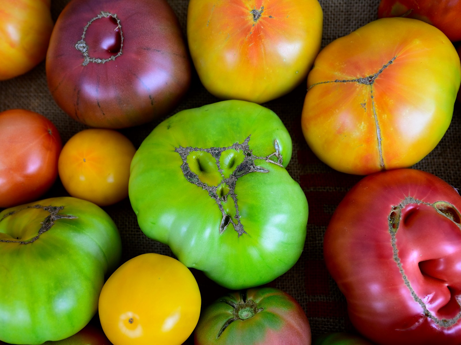 TDP-L-FARMERS-MARKET-MINTON_JAC4995_1076809813.jpg
