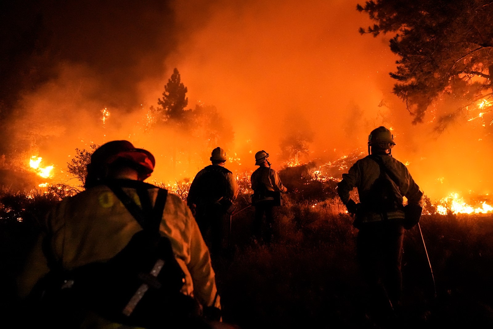 Wildfires_40807--fb176_1083775038.jpg