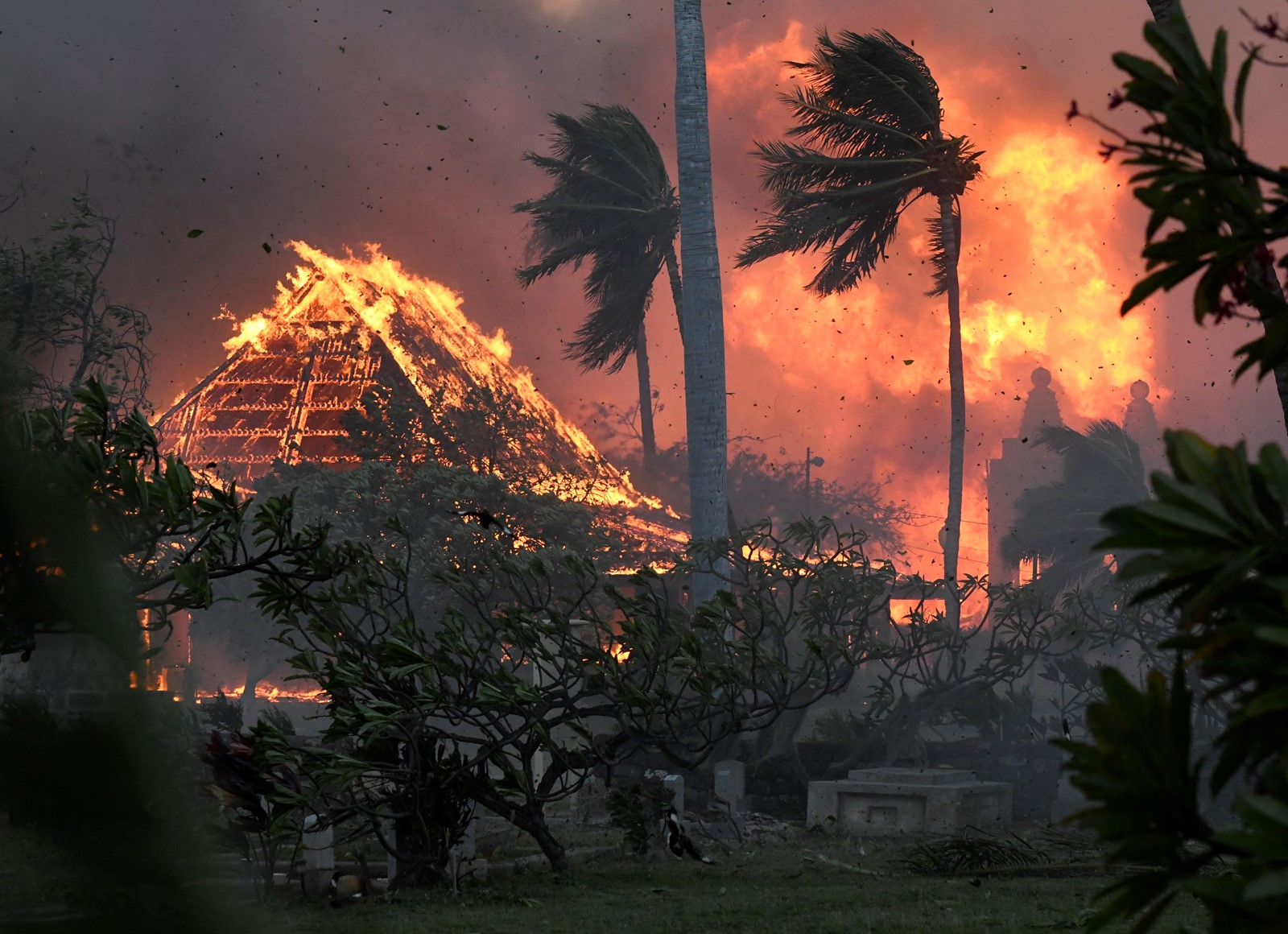 Hawaii_Wildfire_Return_to_Lahaina_03068--a480b_1069419360.jpg