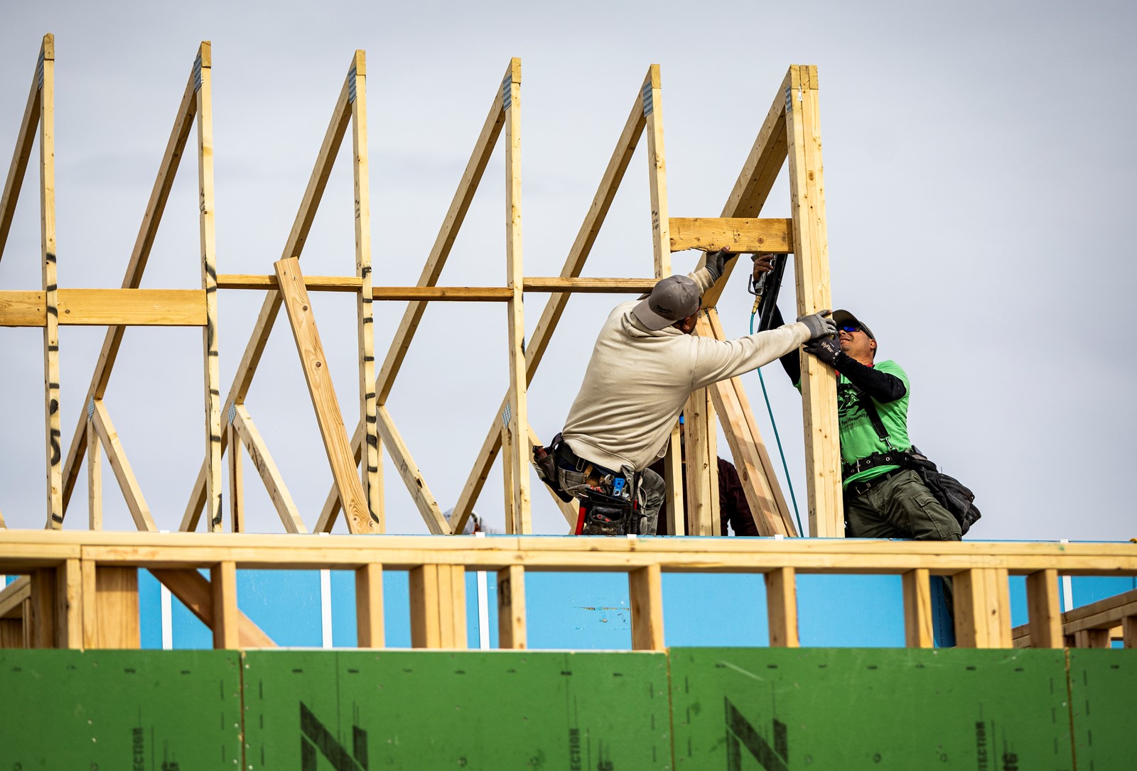 GRE-L-GGHabitat-0215-11359_1103284516.jpg