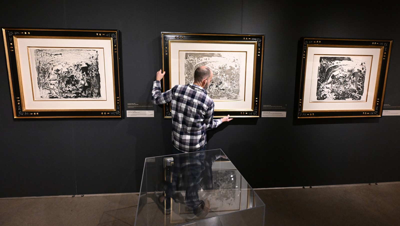 DCC-L-Picasso58_33423a_1089199526.jpg