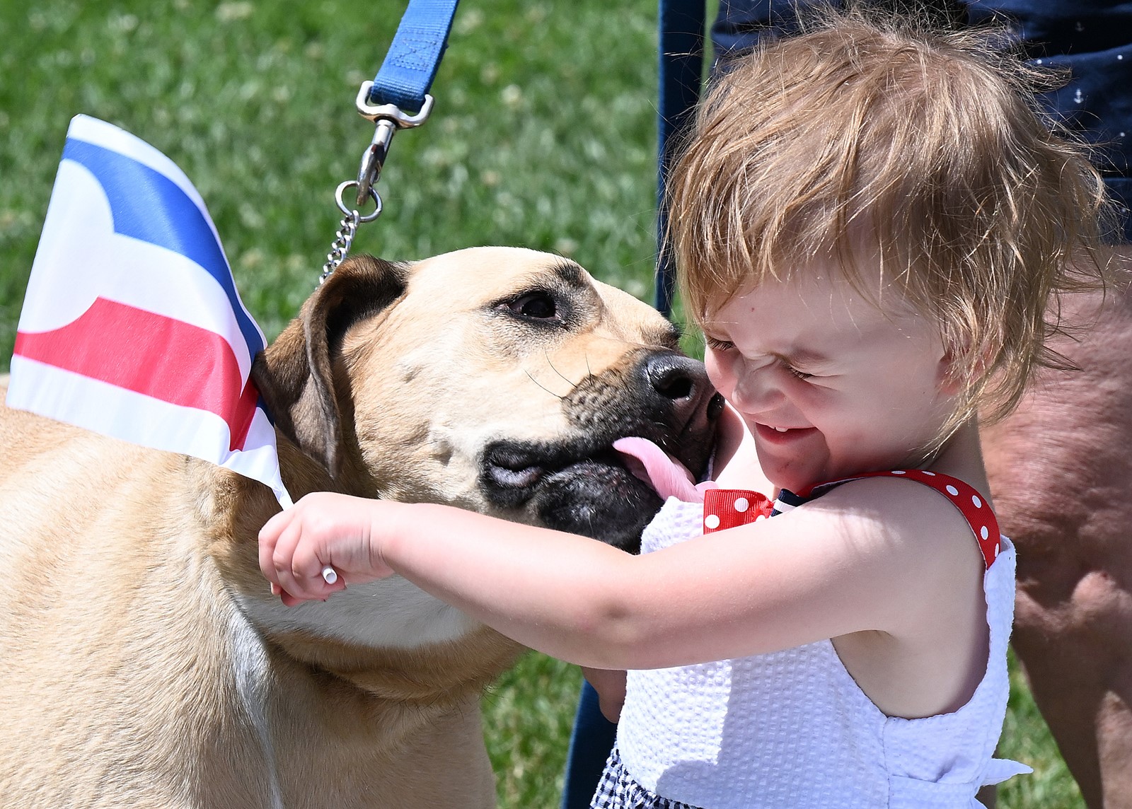 DCC-L-July4LM253_1094989609.jpg