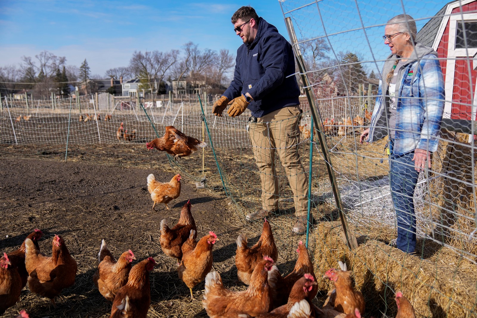 Egg_Prices_08309--a833f_1089941032.jpg