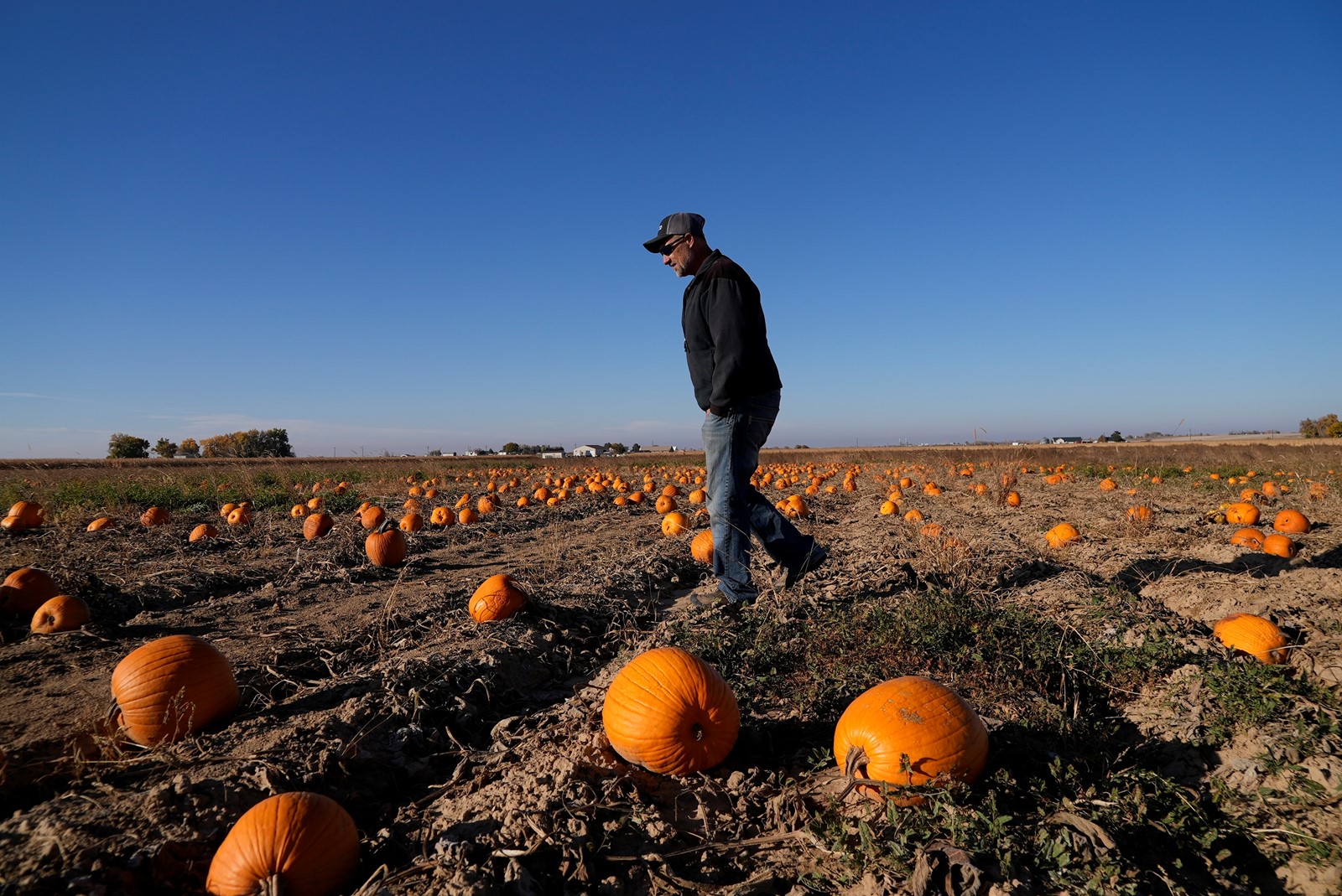 Drought_Pumpkins_25968--0bffd_1070978803.jpg