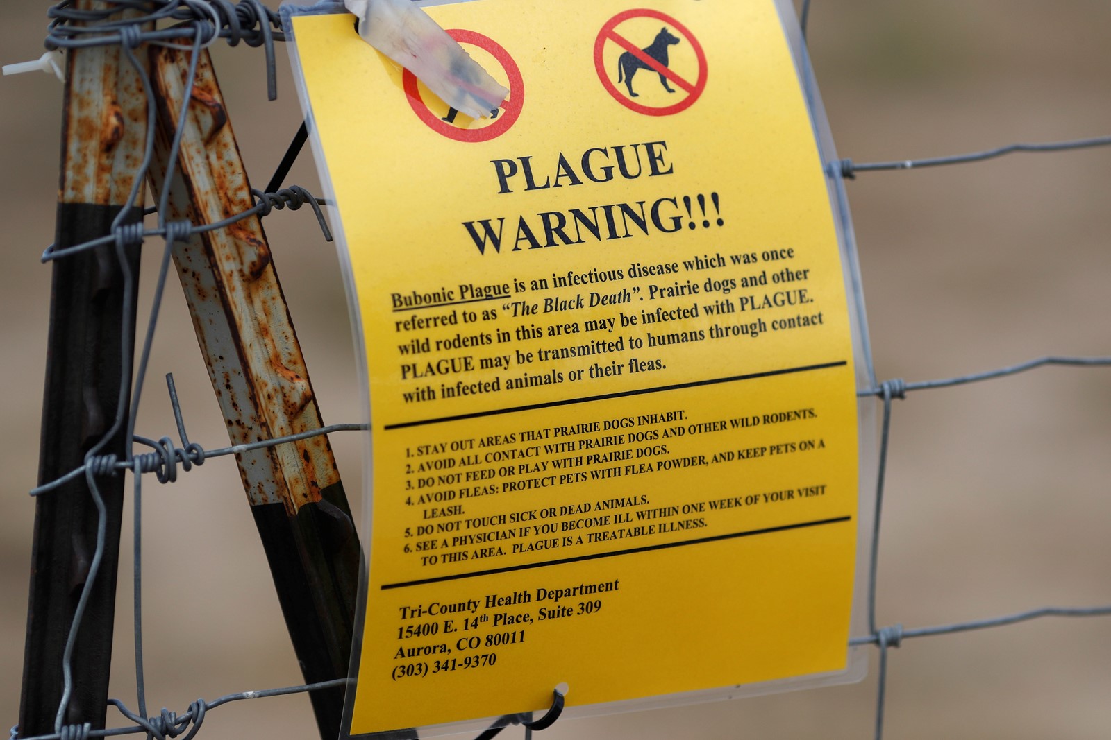 Plague-Explainer_21025--b1eac_1081033772.jpg