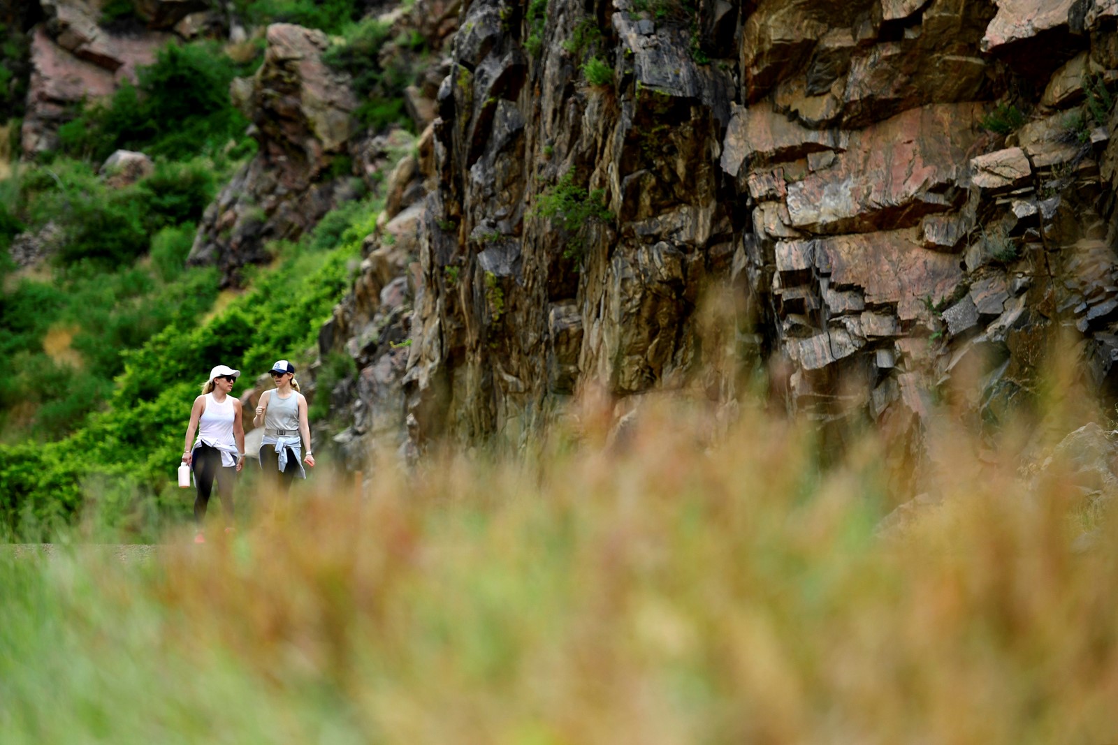 TDP-L-WATERTON_CANYON_869_1092030445.jpg