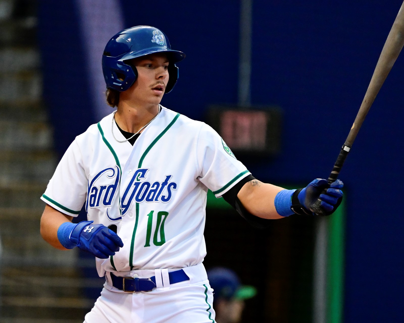 TDP-L-YARD-GOATS_JAC2821_1074815407.jpg