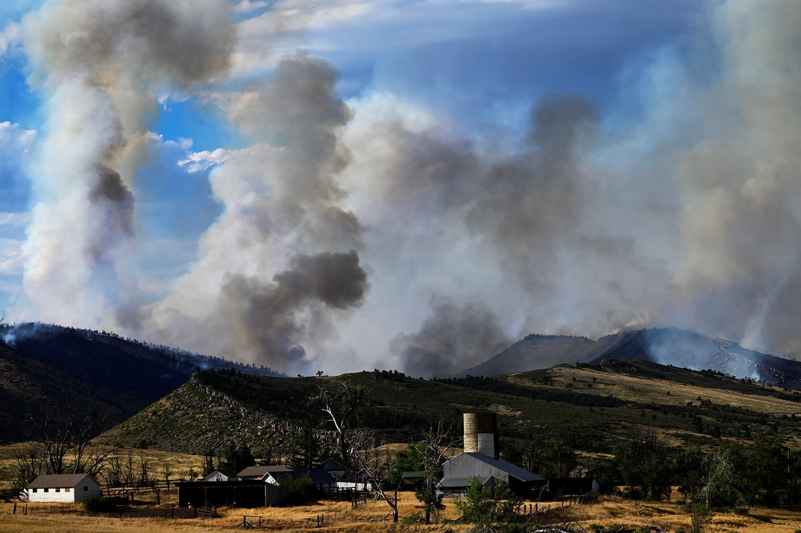 TDP-L-lyonsfire073024-cha-1209_1093183643.jpg
