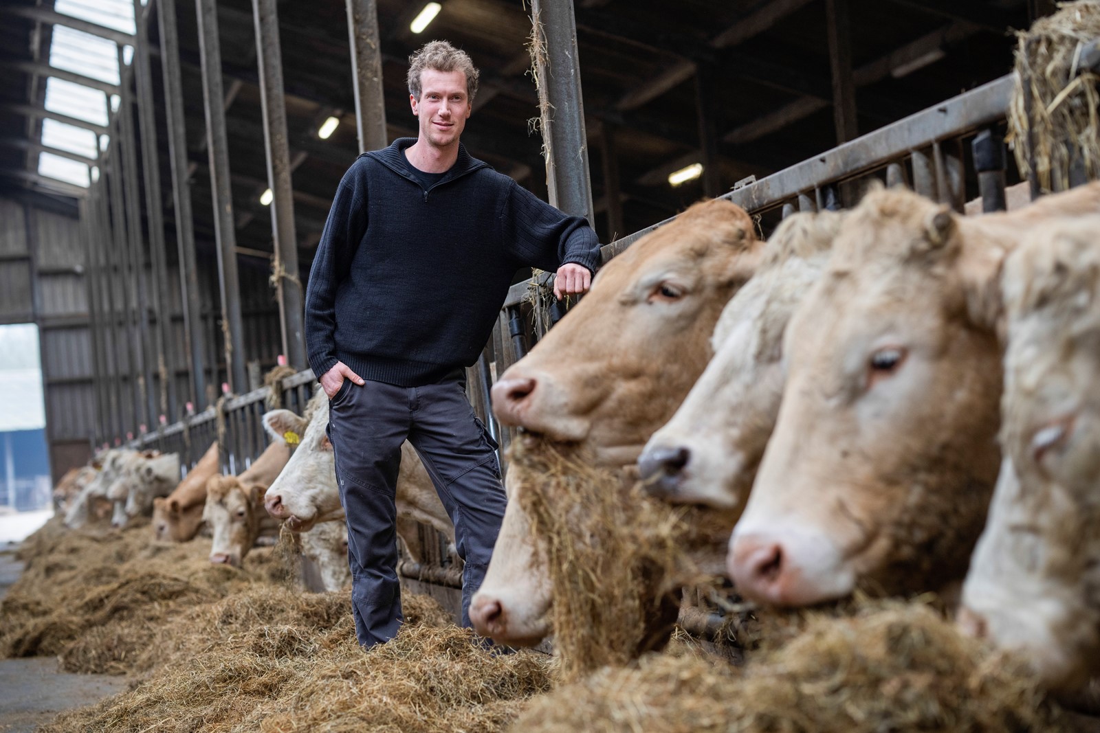 Democracy_in_Europe_Election_Farmers'_Foment__78312--ff065_1077610363.jpg